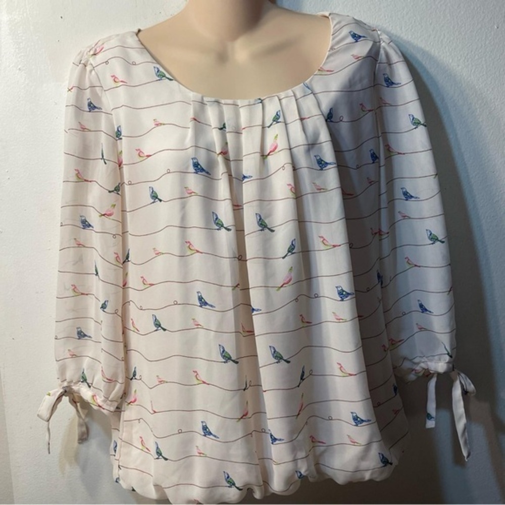 Roz And Ali womens Balloon Bottom, Lined Chiffon top Size Medium